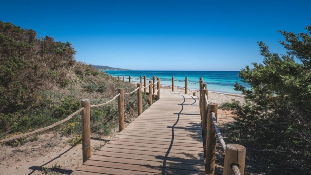 ������� � ������ - �������� 2026