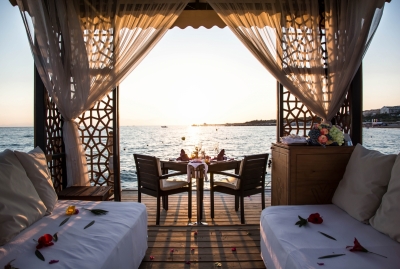 ������� � ���� ���� 2026 � �������