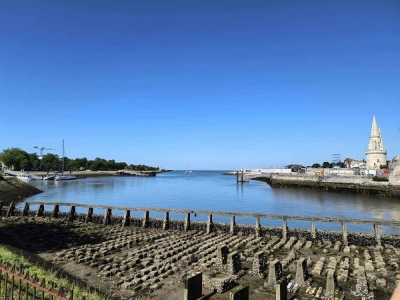      MSC Virtuosa 19.06.2026