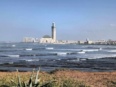       MSC MUSICA 11.04.2026