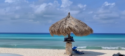   : , , , ,   10.02.2026