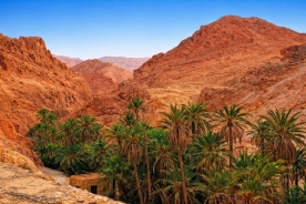 ������� � �����