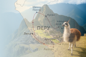 ���� - �� ������� �� �������� ����